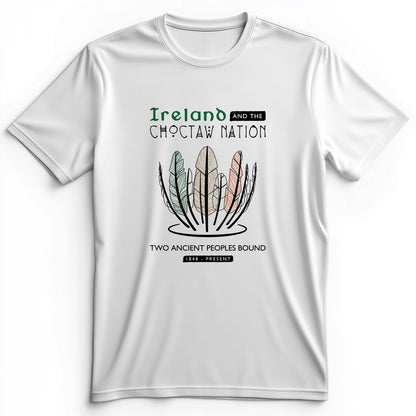Irish-Choctaw Friendship Premium Tee