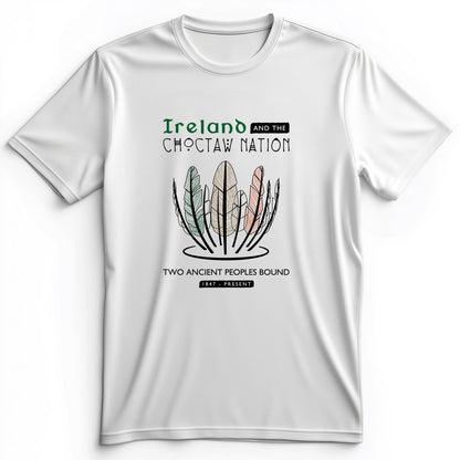 Irish-Choctaw Friendship Premium Tee