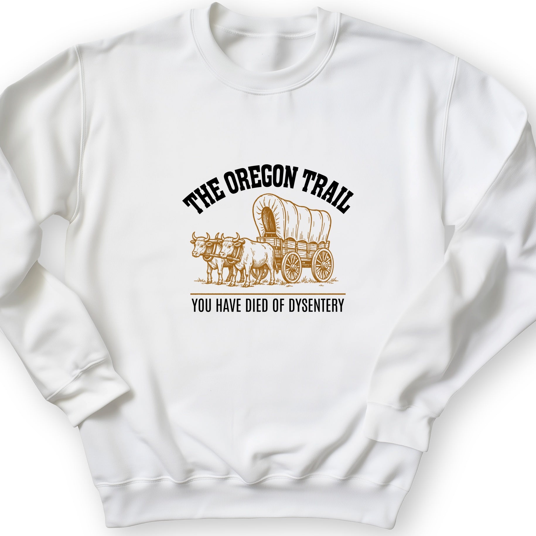 Oregon Trail Dysentery Sweatshirt