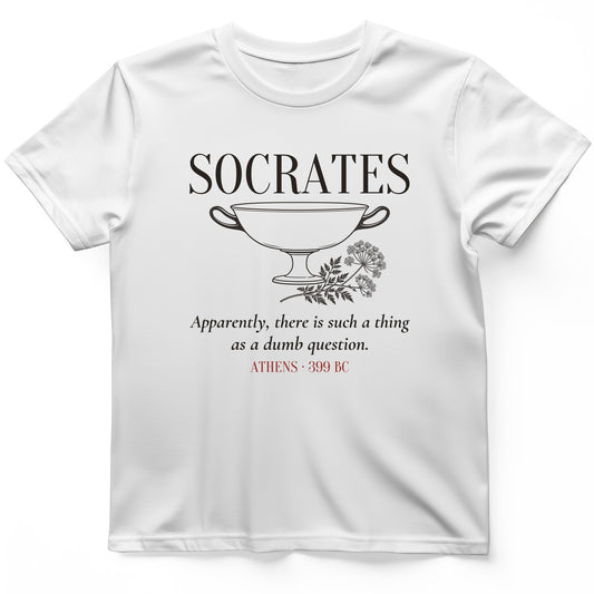 Socrates Dumb Question T-Shirt