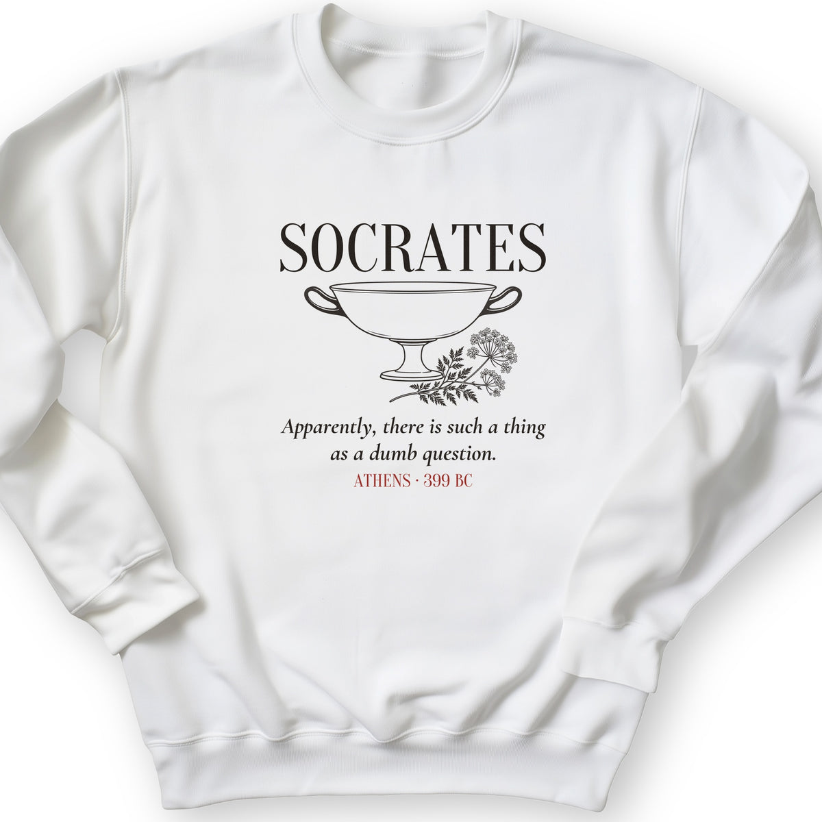Socrates Dumb Question Crewneck