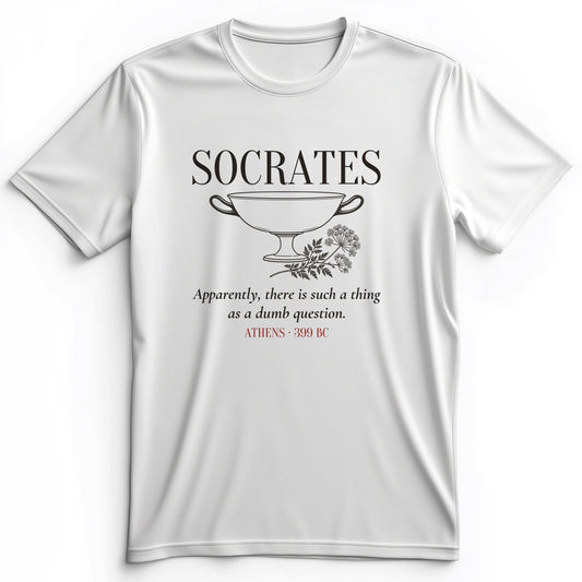 Socrates Dumb Question Premium Tee