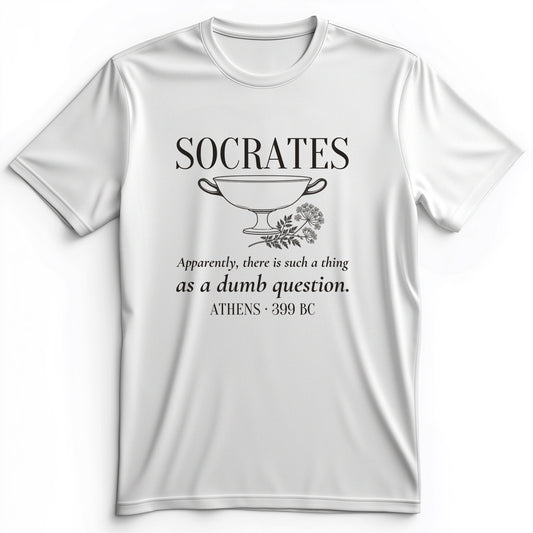 Socrates Dumb Question Premium Tee