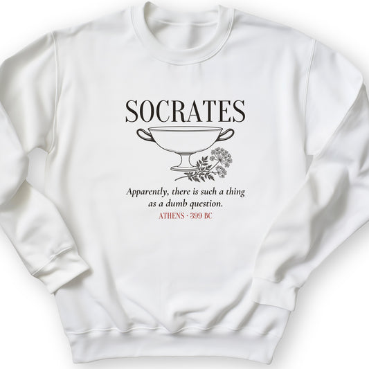 Socrates Dumb Question Crewneck