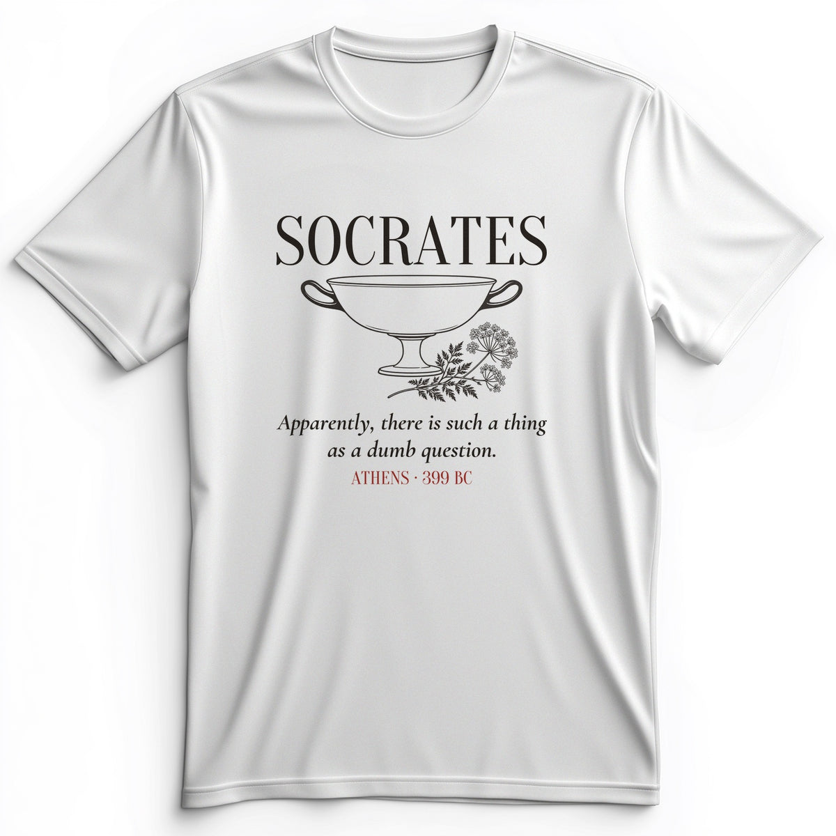Socrates Dumb Question Premium Tee