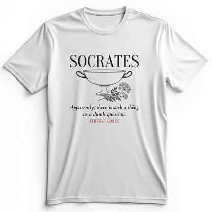 Socrates Dumb Question Premium Tee