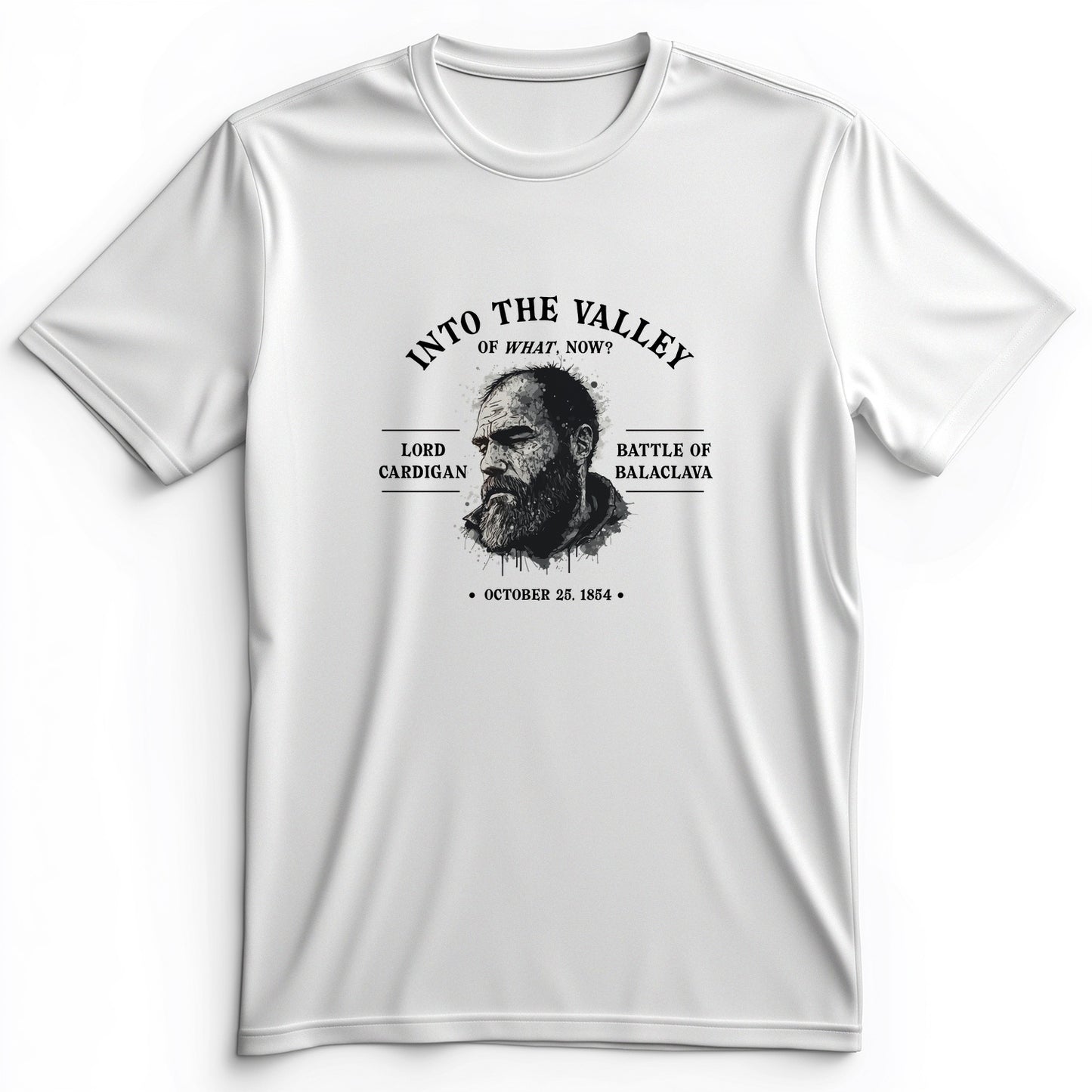 Valley Of What Now Premium Tee