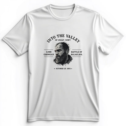 Valley Of What Now Premium Tee