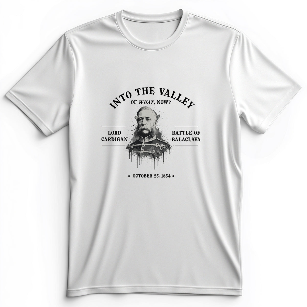 Valley Of What Now Premium Tee
