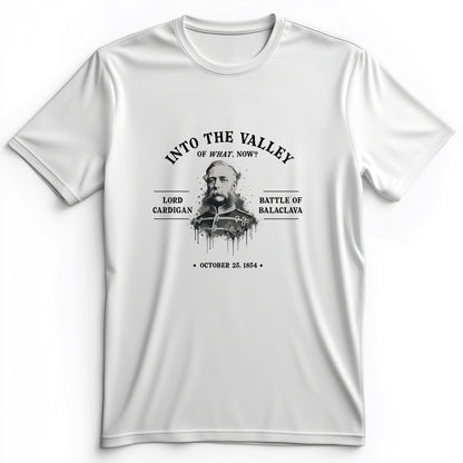 Valley Of What Now Premium Tee