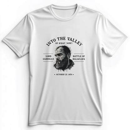 Valley Of What Now Premium Tee