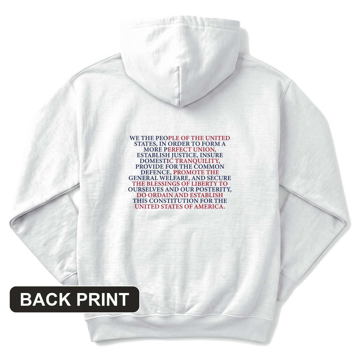 We The People Flag Back Print Hoodie
