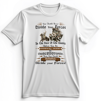 Dividing Forces Premium Tee