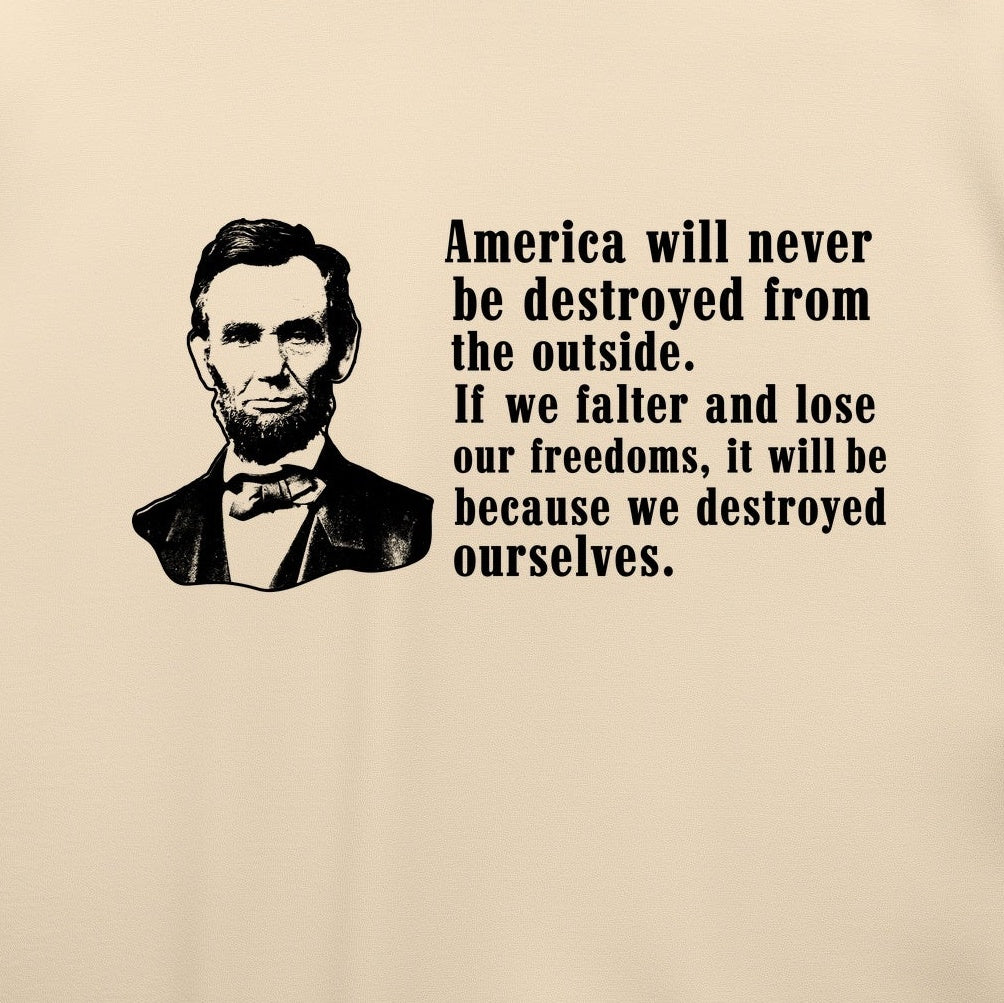 Destroyed Ourselves Lincoln T-Shirt — print detail close-up