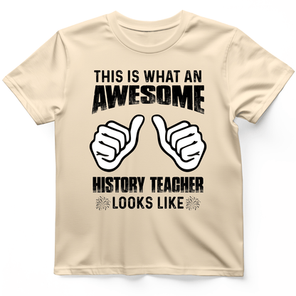 Awesome History Teacher T-Shirt Natural / S