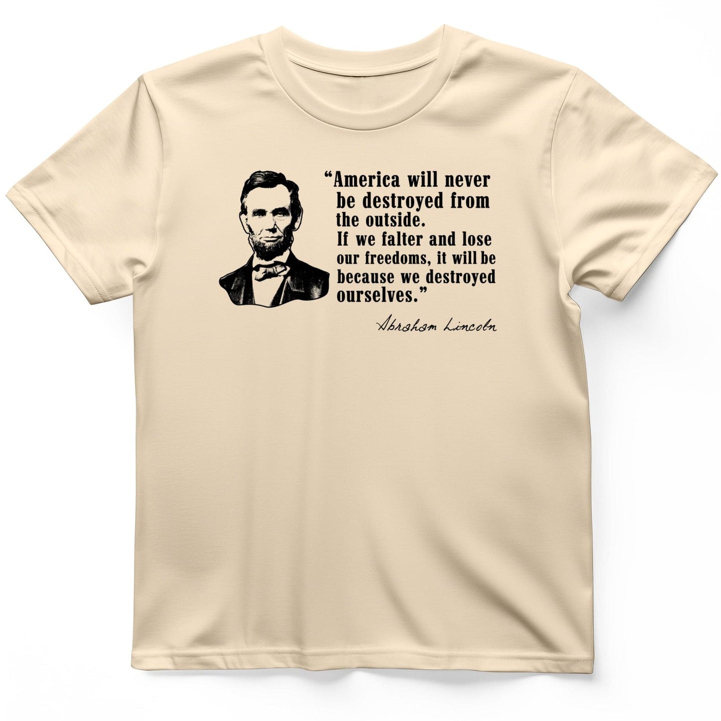 Destroyed Ourselves Lincoln T-Shirt Natural / S