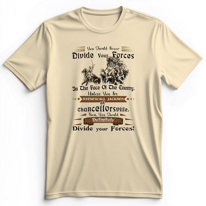 Dividing Forces Premium Tee Natural / S