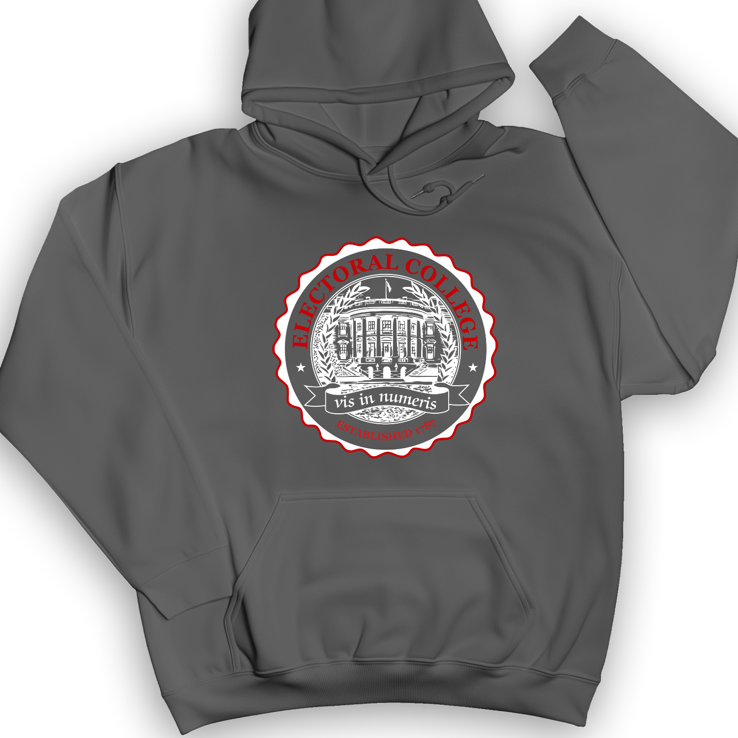 Electoral College Hoodie Charcoal / S