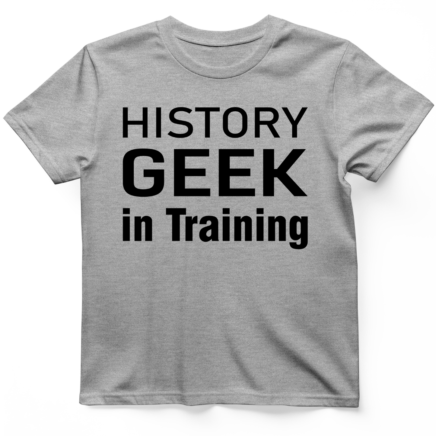 History Geek in Training T-Shirt Sport Grey / S