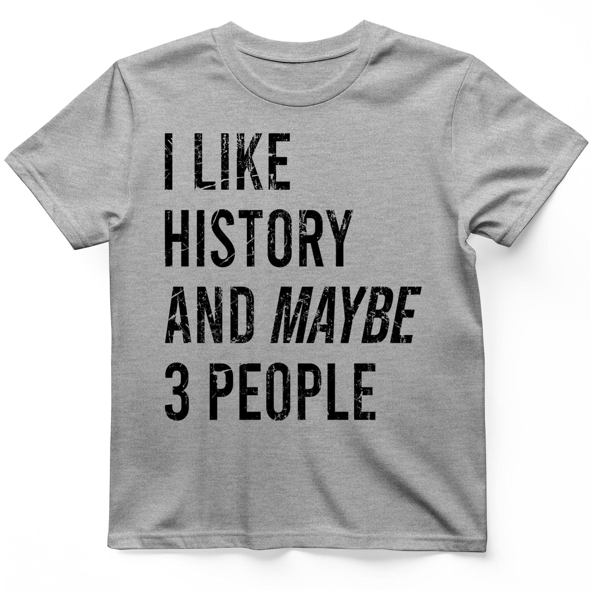 I Like History And Maybe 3 People T-Shirt Sport Grey / S