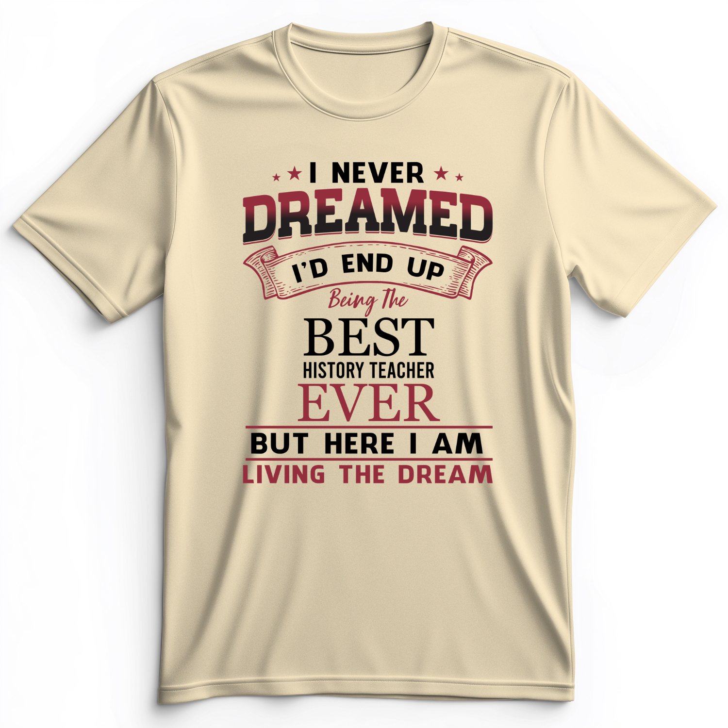 I Never Dreamed Premium Tee Natural / S