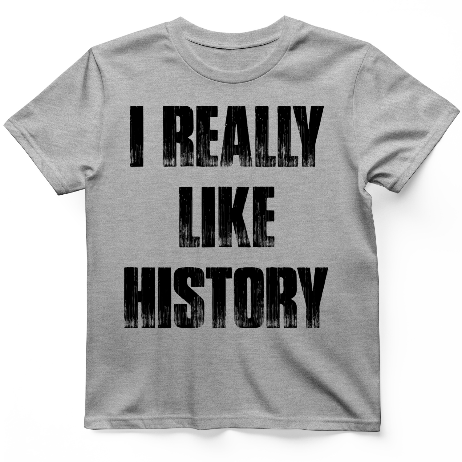 I Really Like History T-Shirt Sport Grey / S