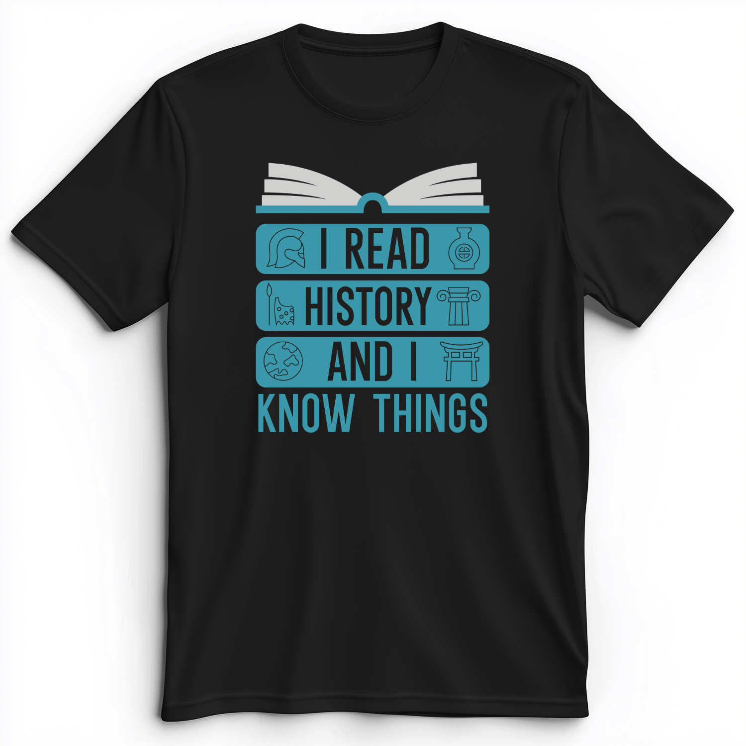 I Teach History And Know Things Premium Tee Black / S