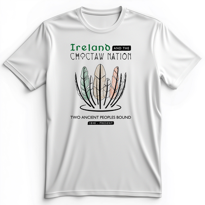 Irish-Choctaw Friendship Premium Tee White / S