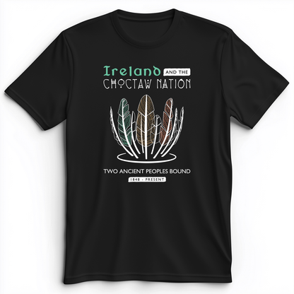 Irish-Choctaw Friendship Premium Tee Black / S