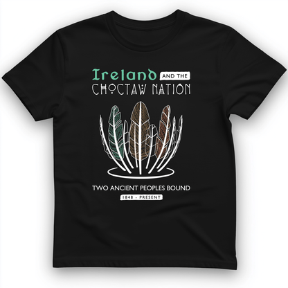 Irish-Choctaw Friendship T-Shirt Black / S