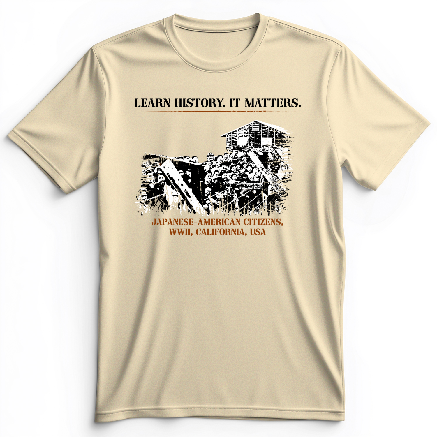 Learn History It Matters Premium Tee Natural / S