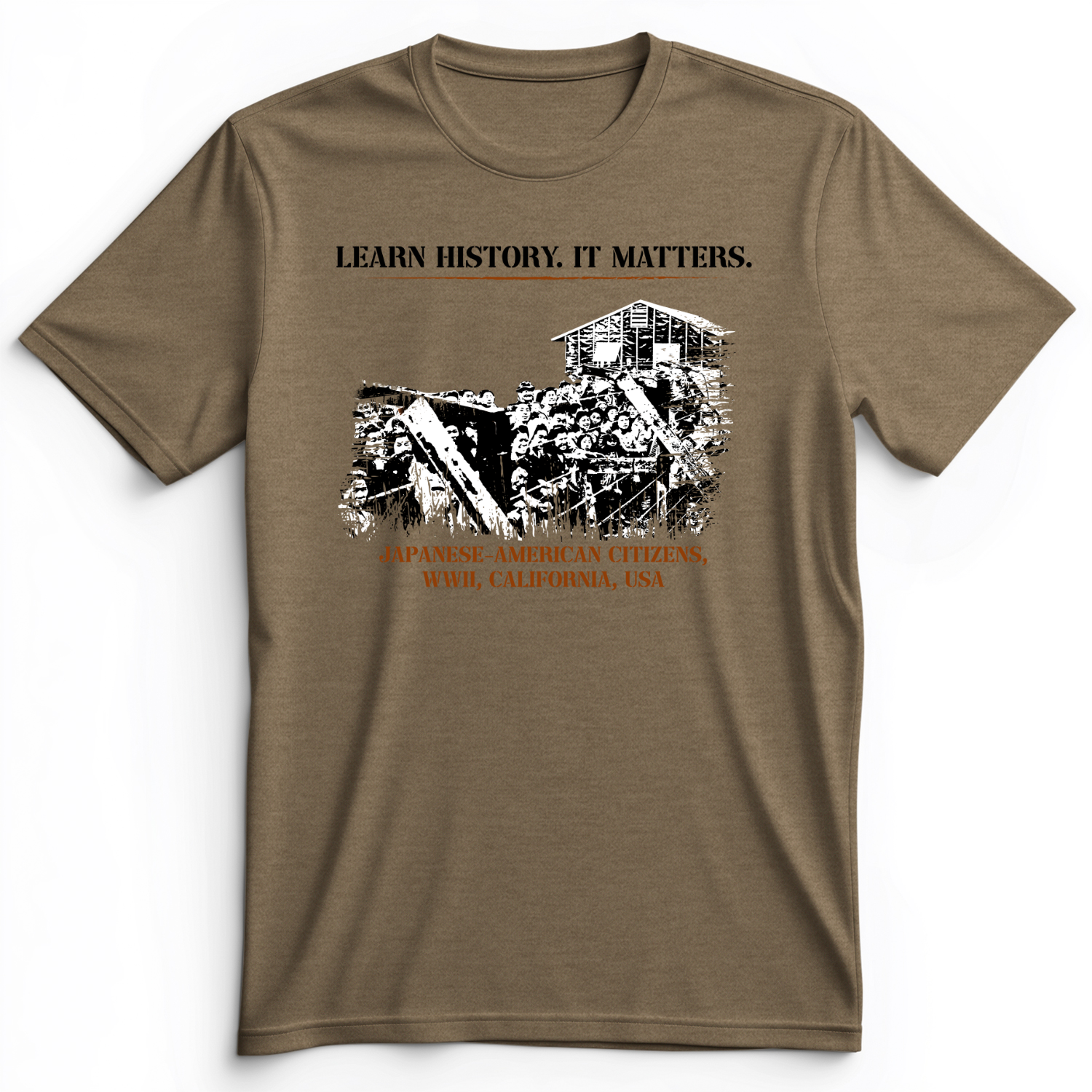 Learn History It Matters Premium Tee Heather Olive / S