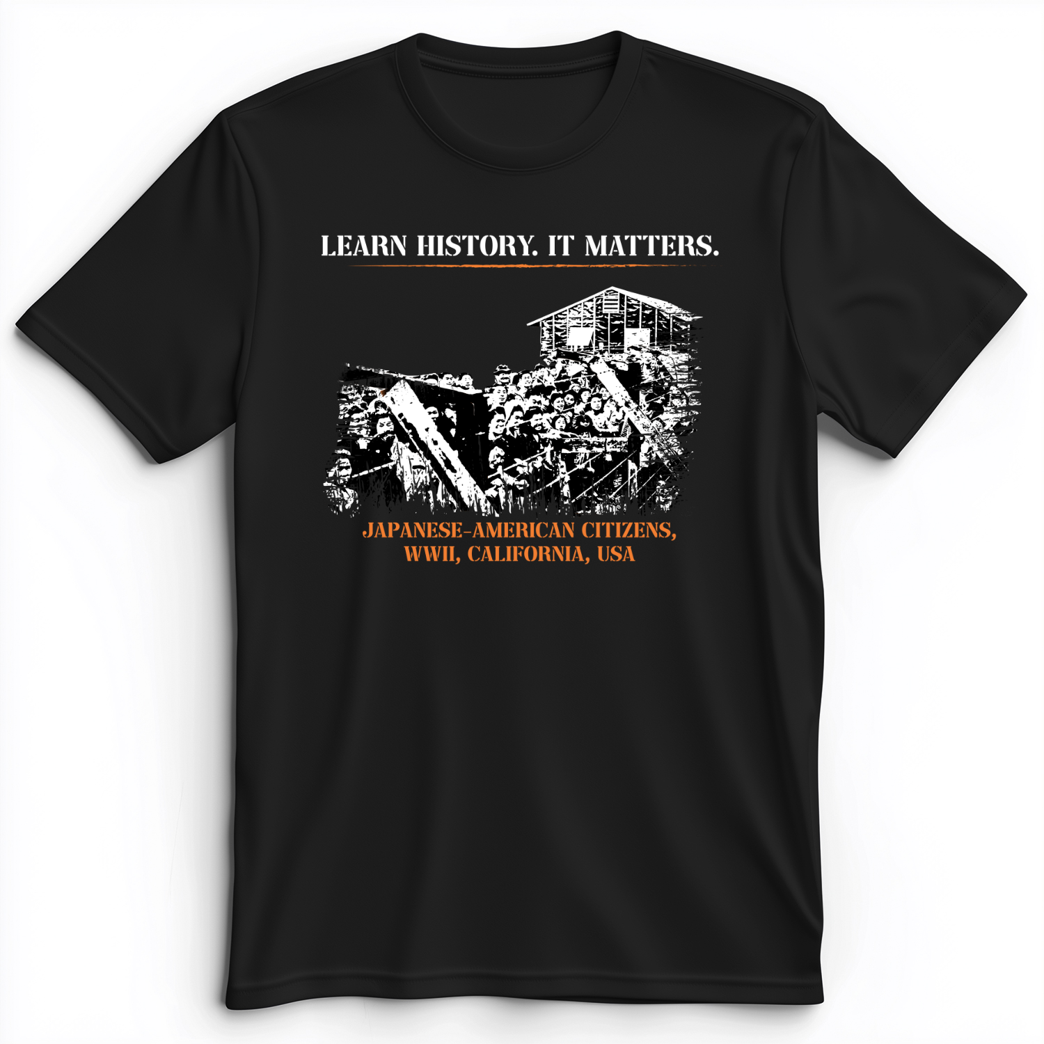 Learn History It Matters Premium Tee Black / S