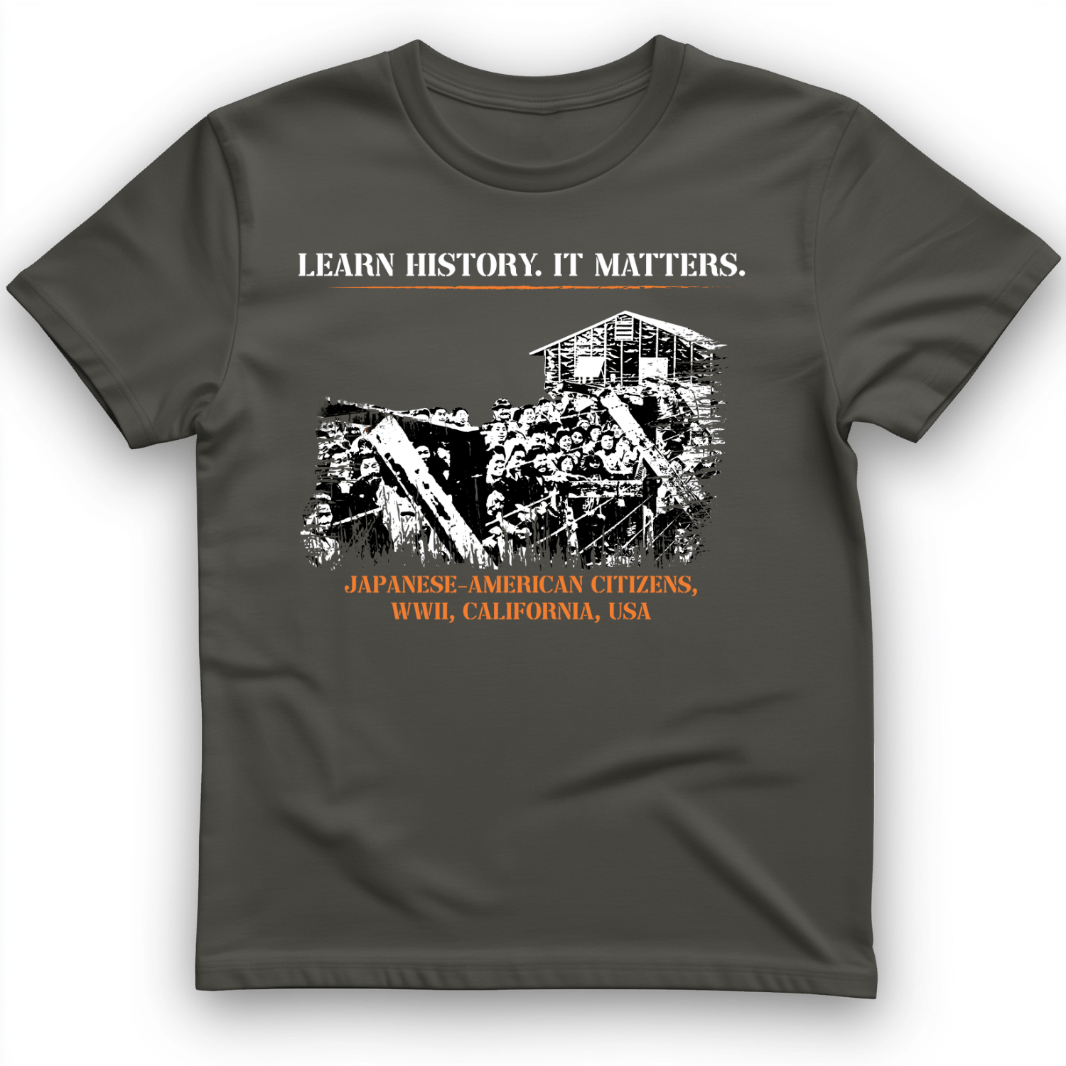 Learn History It Matters T-Shirt Charcoal / S