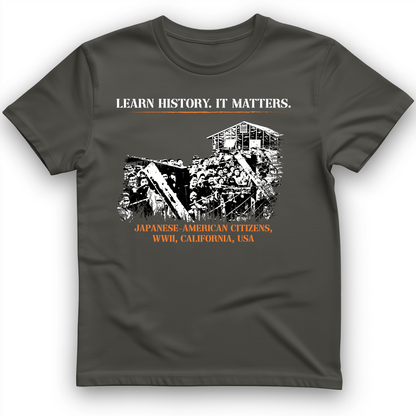 Learn History It Matters T-Shirt Charcoal / S