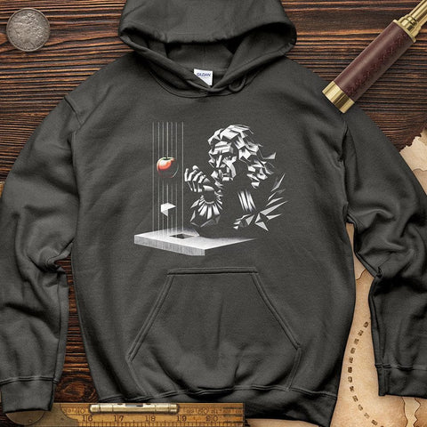 Newton with Apple Hoodie Charcoal / S