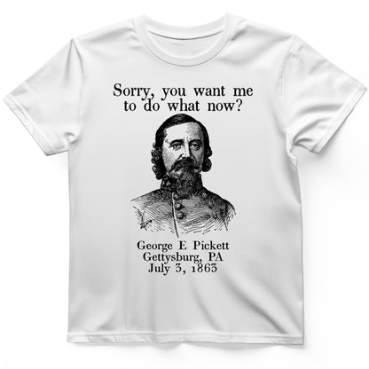 Pickett Do What Now T-Shirt Sport Grey / S