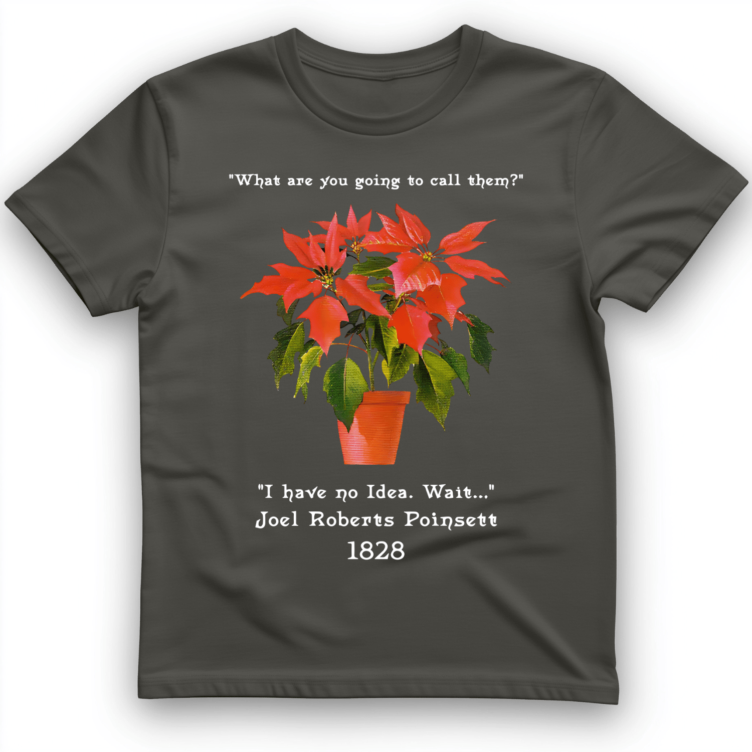 Pointsettias T-Shirt Charcoal / S