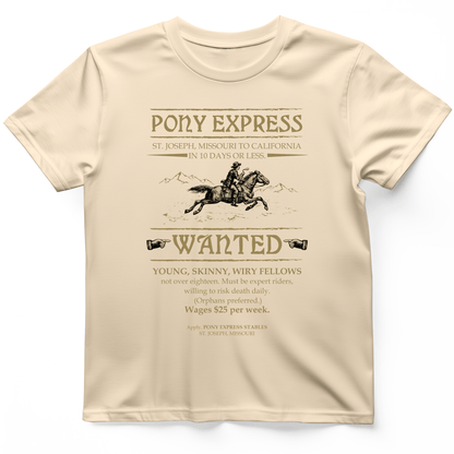 Pony Express Poster T-Shirt Natural / S