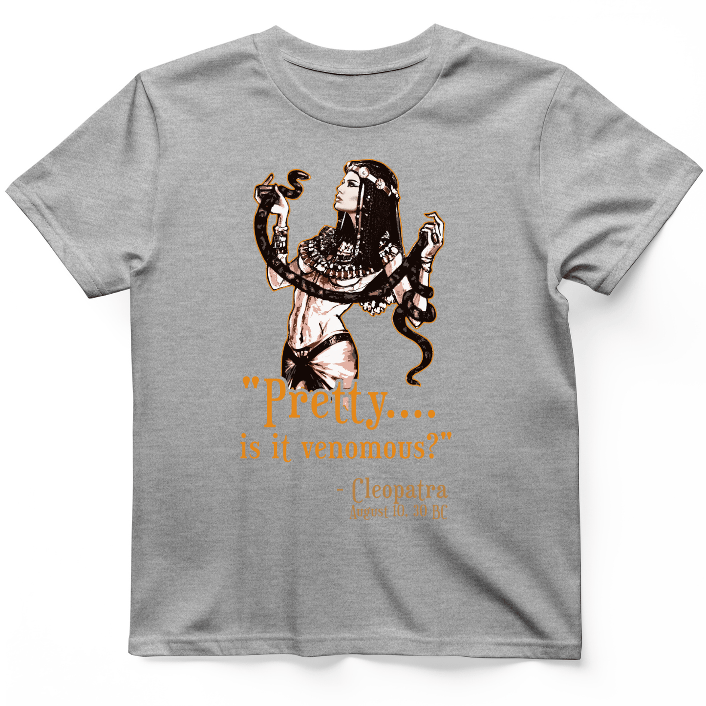 Pretty Is It Venomous T-Shirt Sport Grey / S
