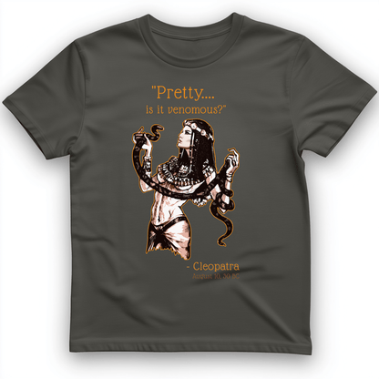 Pretty Is It Venomous T-Shirt Charcoal / S