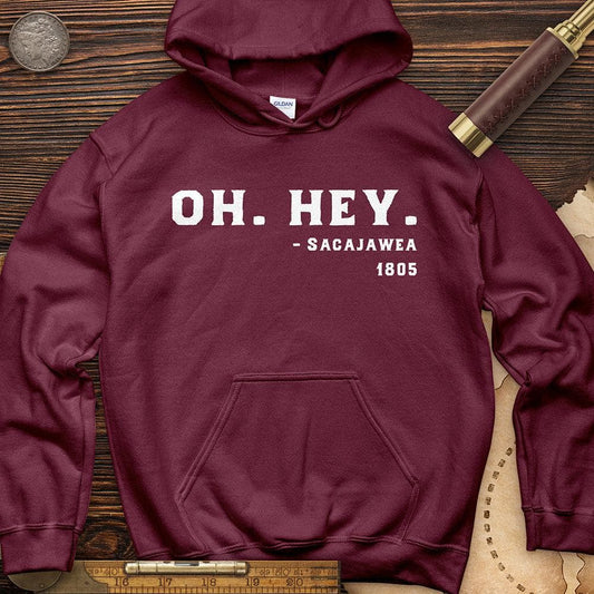 Sacajawea I Got This Hoodie