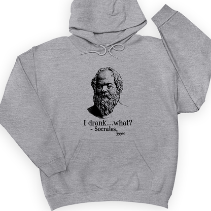 Socrates I Drank What Hoodie Sport Grey / S