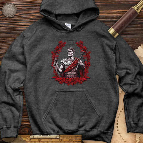 Soldier Holding Sword Hoodie Dark Heather / S