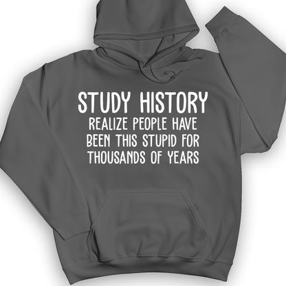 Study History Hoodie Charcoal / S