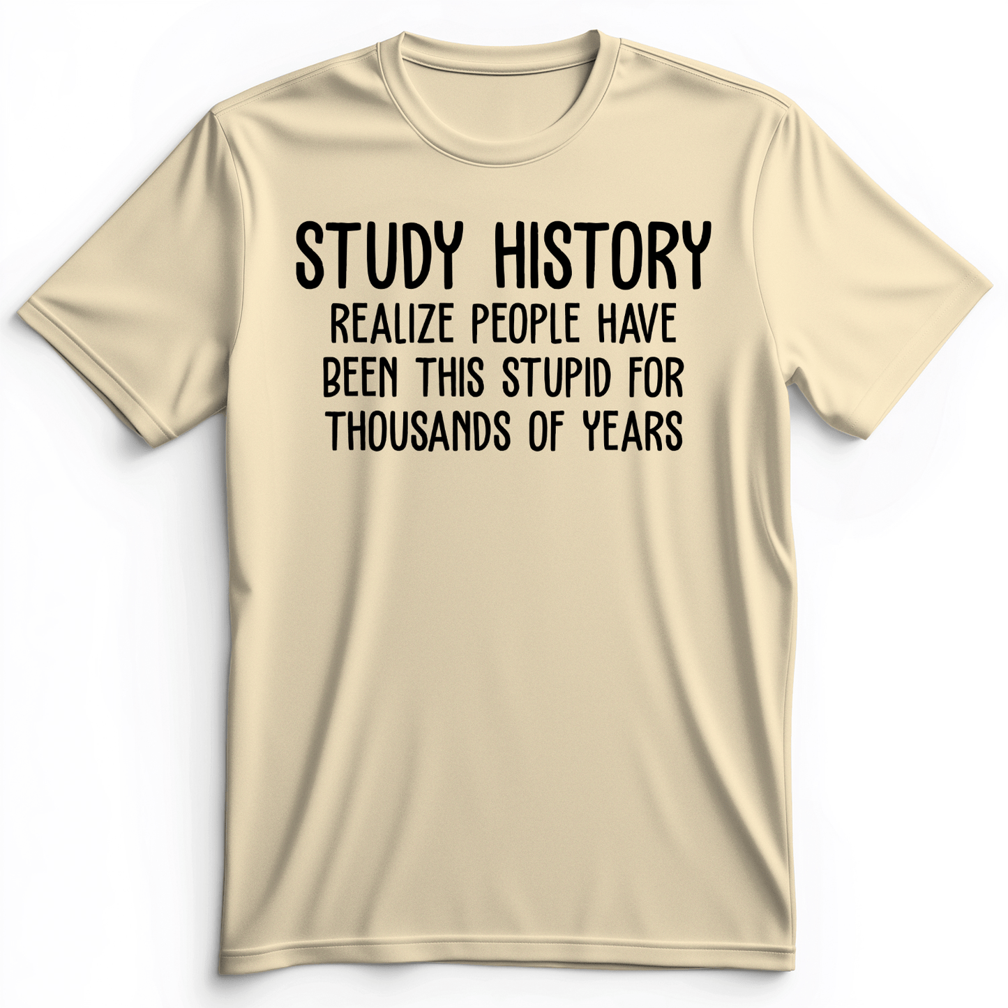 Study History Premium Tee Natural / S