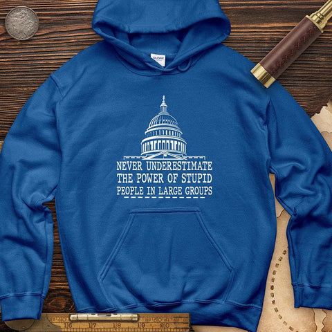 Stupid People In Large Groups Hoodie Royal / S