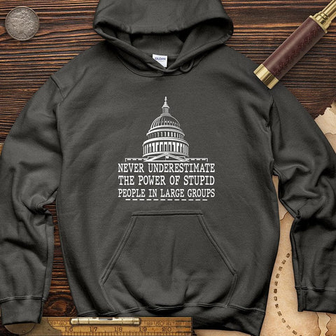 Stupid People In Large Groups Hoodie Charcoal / S