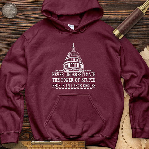 Stupid People In Large Groups Hoodie Maroon / S