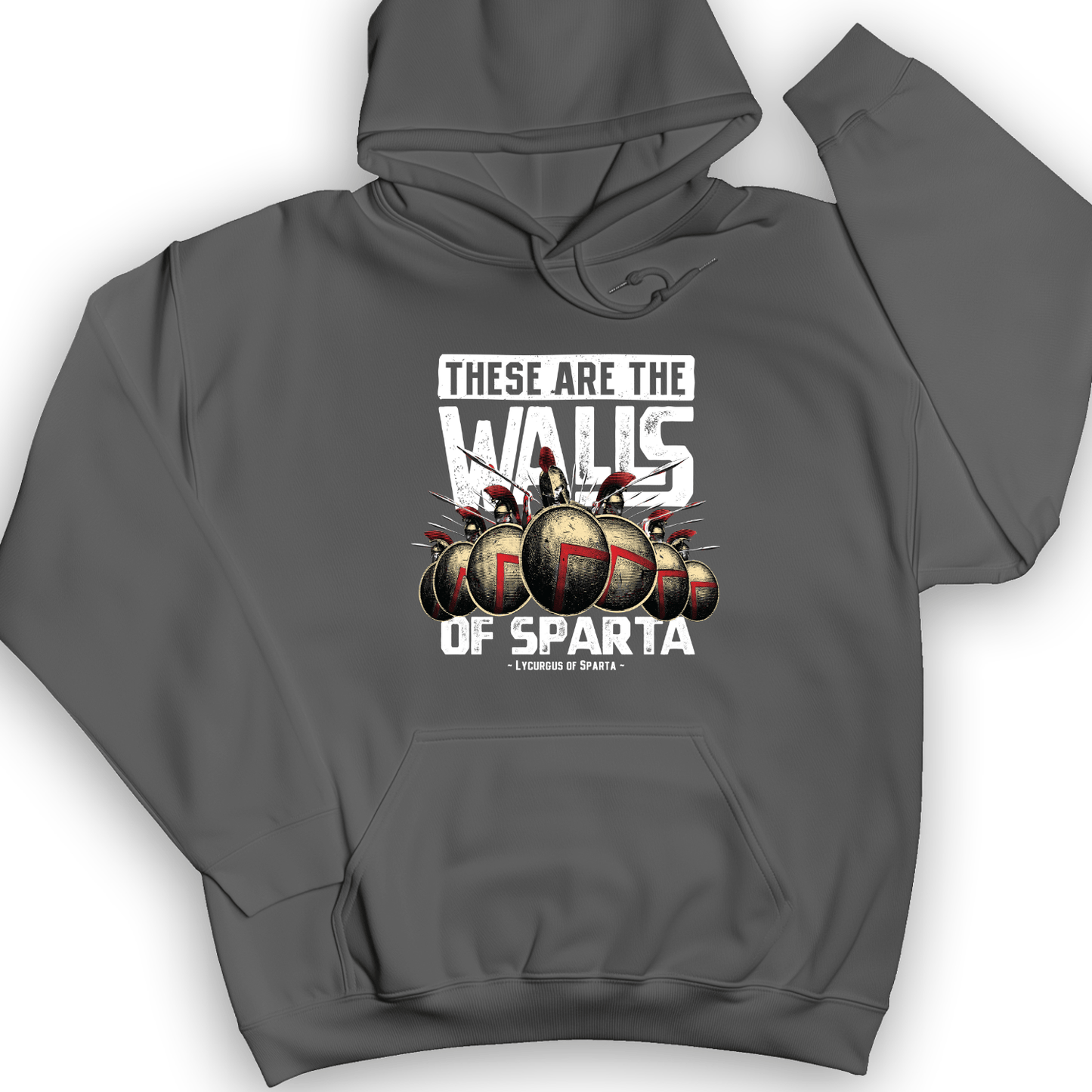The Walls Of Sparta Hoodie Charcoal / S